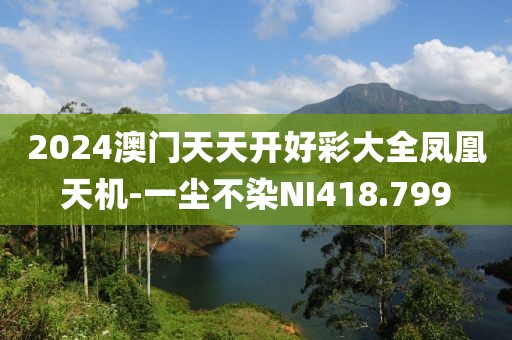 2024澳门天天开好彩大全凤凰天机-一尘不染NI418.799