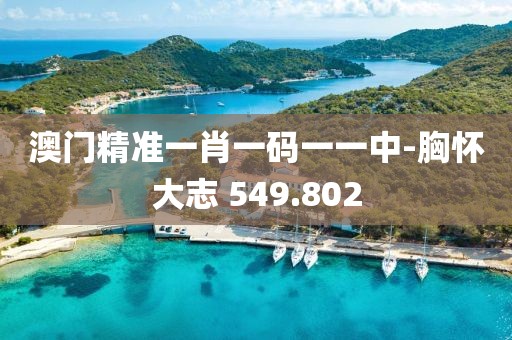 澳门精准一肖一码一一中-胸怀大志 549.802