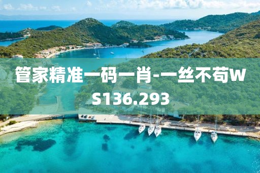 管家精准一码一肖-一丝不苟WS136.293