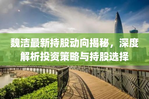 魏洁最新持股动向揭秘，深度解析投资策略与持股选择