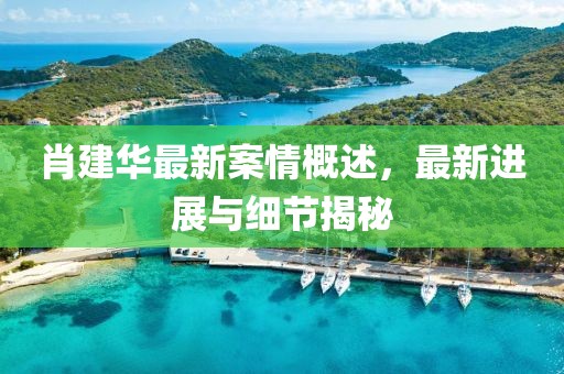 肖建华最新案情概述，最新进展与细节揭秘