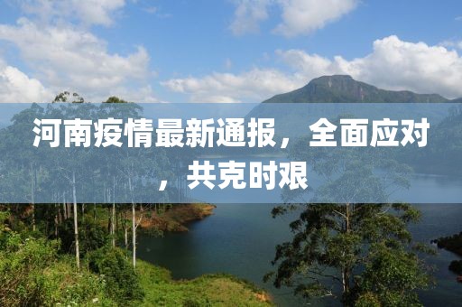 河南疫情最新通报，全面应对，共克时艰