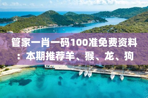 管家一肖一码100准免费资料：本期推荐羊、猴、龙、狗