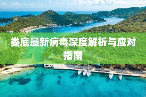 娄底最新病毒深度解析与应对指南