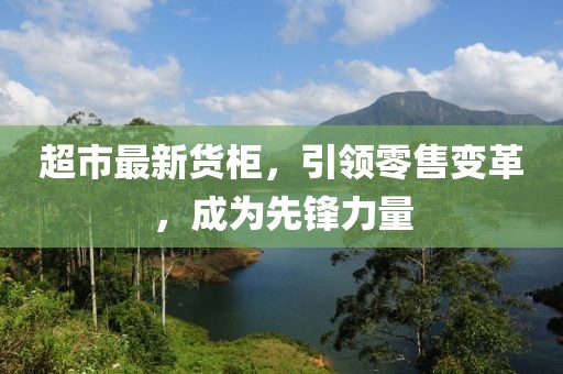 超市最新货柜，引领零售变革，成为先锋力量