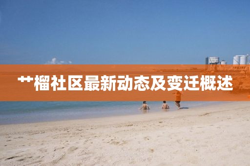 艹榴社区最新动态及变迁概述