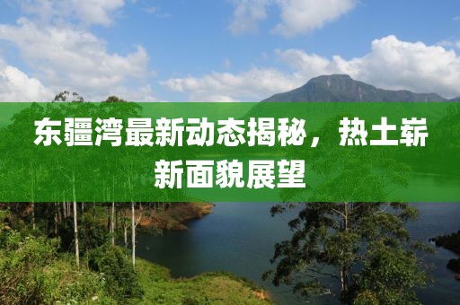 东疆湾最新动态揭秘，热土崭新面貌展望