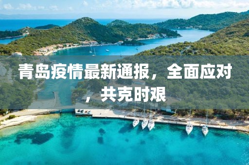 青岛疫情最新通报，全面应对，共克时艰