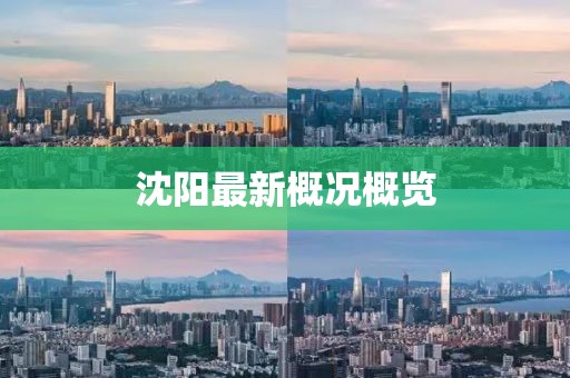 沈阳最新概况概览
