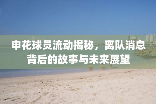 申花球员流动揭秘，离队消息背后的故事与未来展望