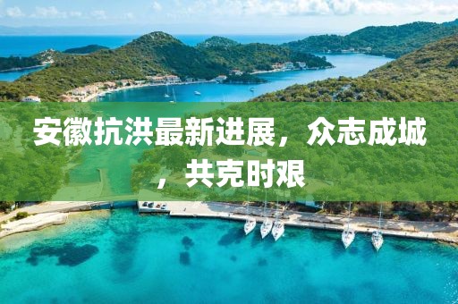 安徽抗洪最新进展，众志成城，共克时艰