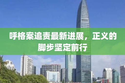 呼格案追责最新进展，正义的脚步坚定前行