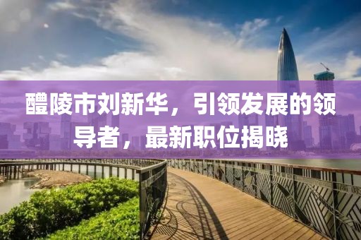 醴陵市刘新华，引领发展的领导者，最新职位揭晓
