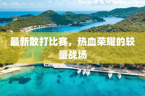 最新散打比赛，热血荣耀的较量战场