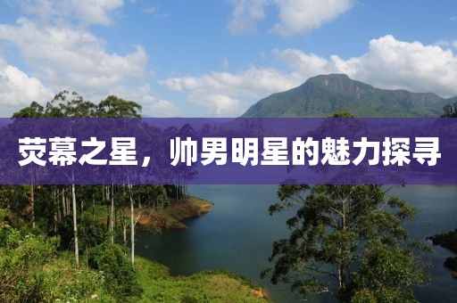 荧幕之星，帅男明星的魅力探寻