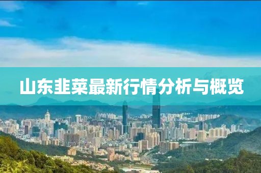 山东韭菜最新行情分析与概览