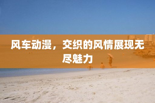 风车动漫，交织的风情展现无尽魅力