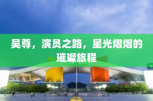 吴尊，演员之路，星光熠熠的璀璨旅程