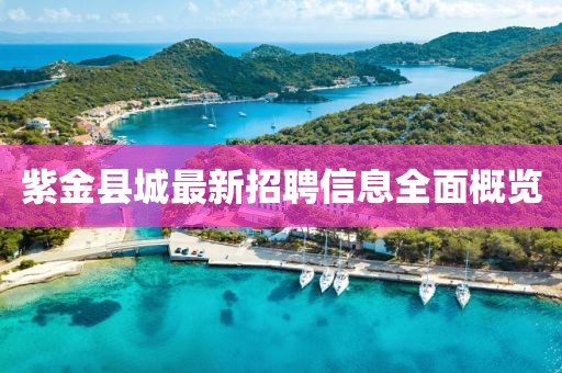 紫金县城最新招聘信息全面概览