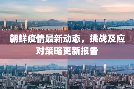 朝鲜疫情最新动态，挑战及应对策略更新报告