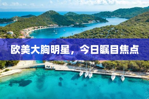 欧美大胸明星，今日瞩目焦点