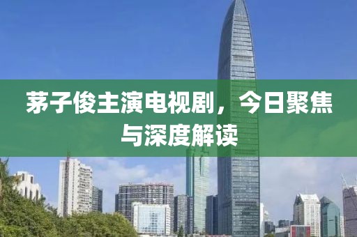 茅子俊主演电视剧，今日聚焦与深度解读