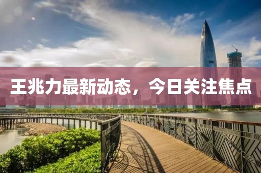 王兆力最新动态，今日关注焦点