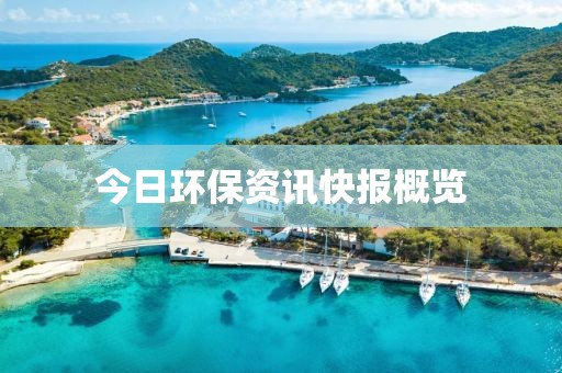 今日环保资讯快报概览