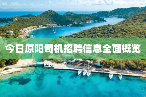 今日原阳司机招聘信息全面概览