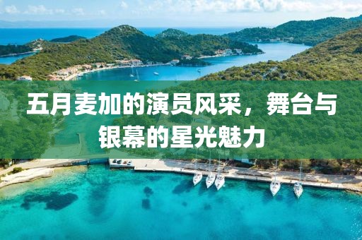 五月麦加的演员风采，舞台与银幕的星光魅力