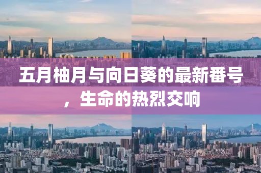 五月柚月与向日葵的最新番号，生命的热烈交响