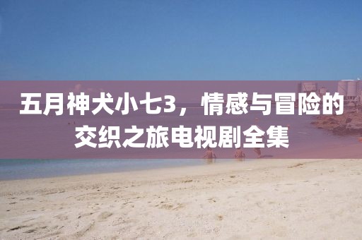 五月神犬小七3，情感与冒险的交织之旅电视剧全集