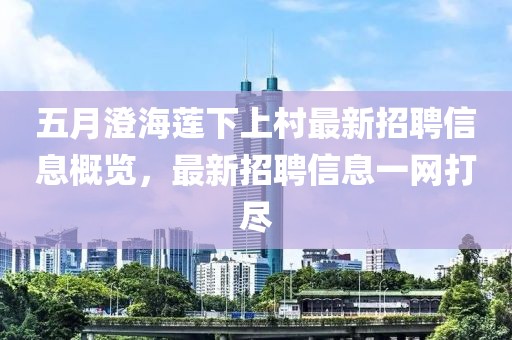 五月澄海莲下上村最新招聘信息概览，最新招聘信息一网打尽
