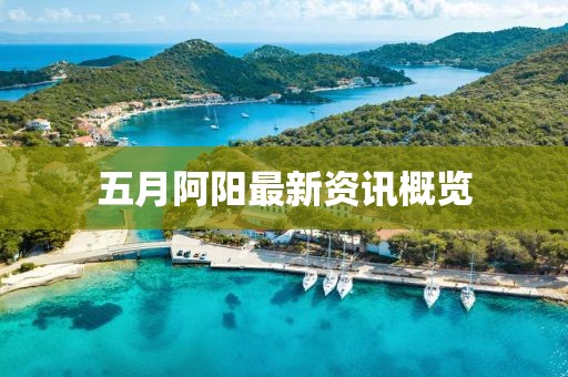 五月阿阳最新资讯概览