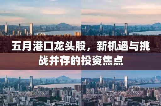 五月港口龙头股，新机遇与挑战并存的投资焦点