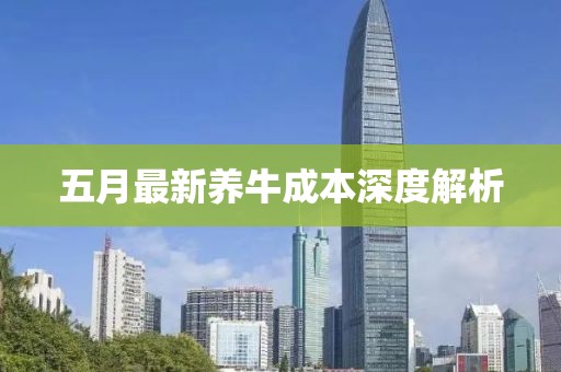 五月最新养牛成本深度解析