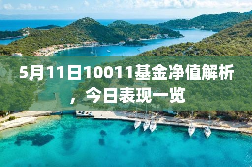 5月11日10011基金净值解析，今日表现一览