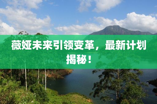 薇娅未来引领变革，最新计划揭秘！