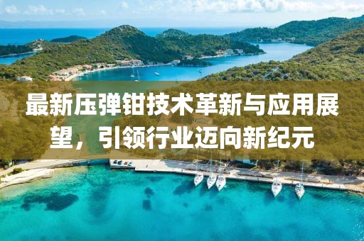 最新压弹钳技术革新与应用展望，引领行业迈向新纪元