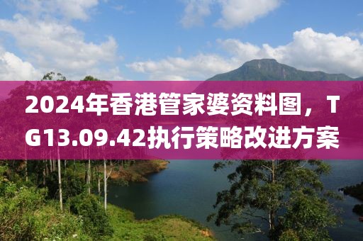 2024年香港管家婆资料图，TG13.09.42执行策略改进方案