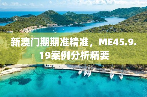 新澳门期期准精准，ME45.9.19案例分析精要