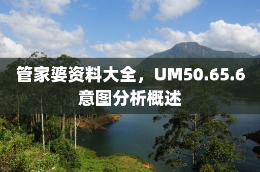 管家婆资料大全，UM50.65.6意图分析概述