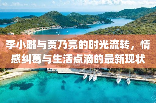 李小璐与贾乃亮的时光流转，情感纠葛与生活点滴的最新现状