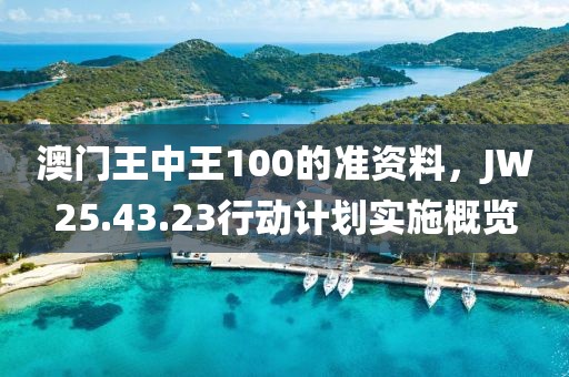 澳门王中王100的准资料，JW25.43.23行动计划实施概览