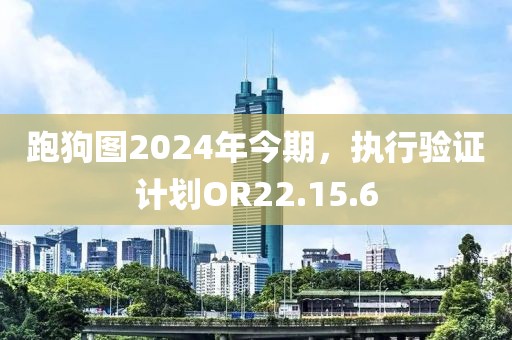 跑狗图2024年今期，执行验证计划OR22.15.6