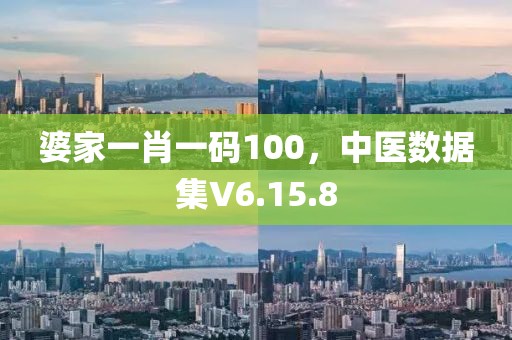婆家一肖一码100，中医数据集V6.15.8