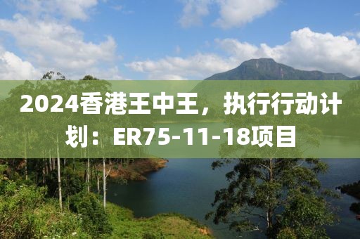 2024香港王中王，执行行动计划：ER75-11-18项目