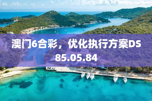 澳门6合彩，优化执行方案DS85.05.84