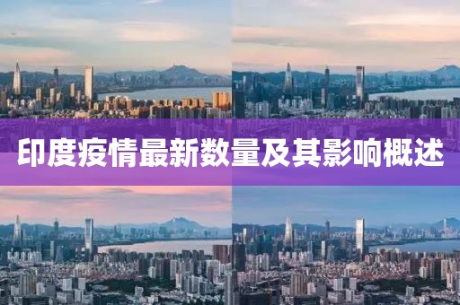 印度疫情最新数量及其影响概述